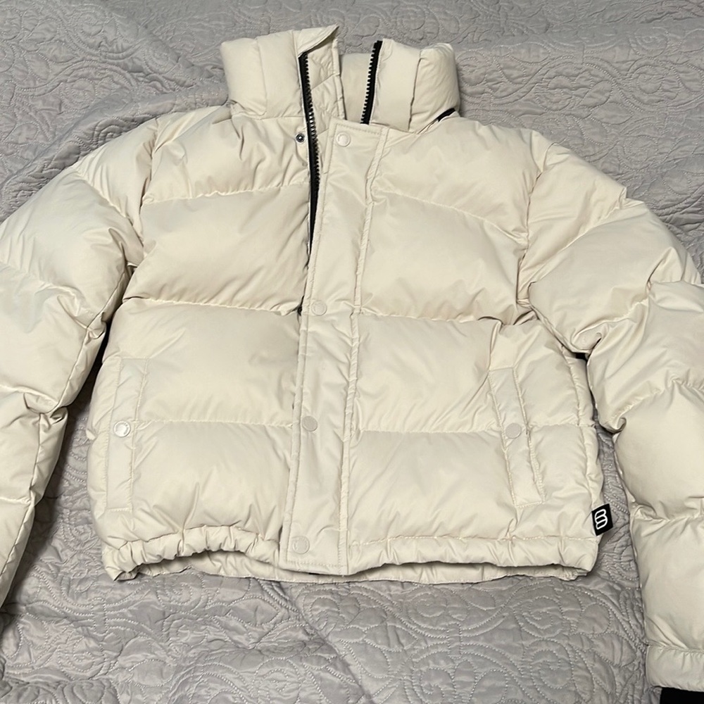 Aritiza super puffy shorty